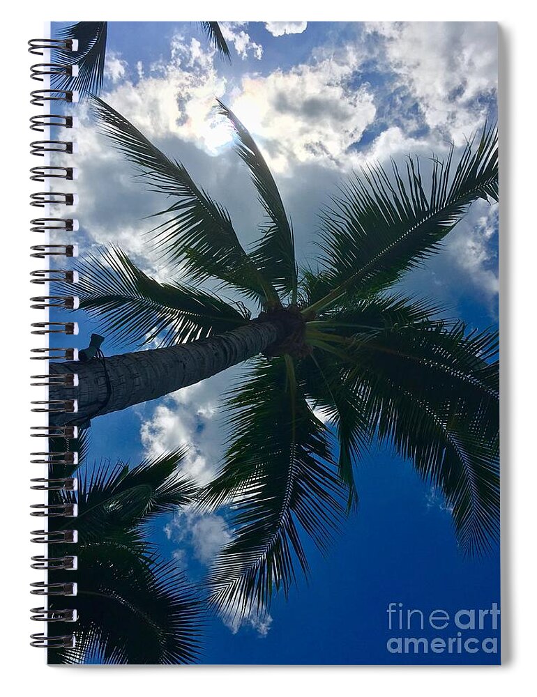 Summer Spiral Notebook featuring the photograph Palm Tree by Thomas Schroeder