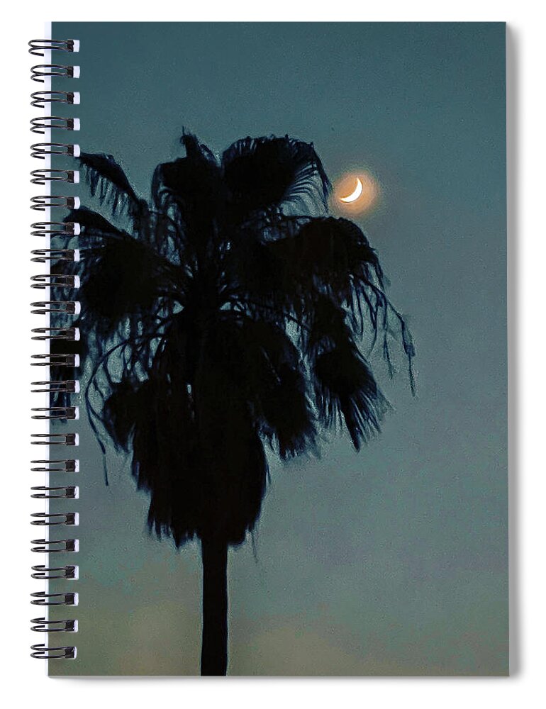 Palm Tree Spiral Notebook featuring the photograph Palm tree with moon by Grey Coopre