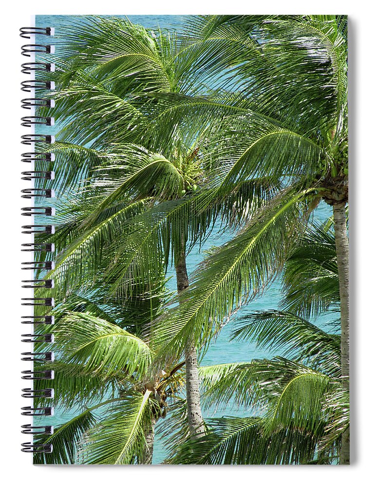 Palm Spiral Notebook featuring the photograph Palm Trees by the Ocean by Corinne Carroll