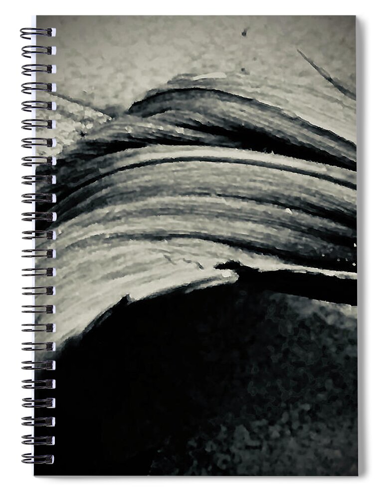  Spiral Notebook featuring the digital art Palmistree by Michelle Hoffmann