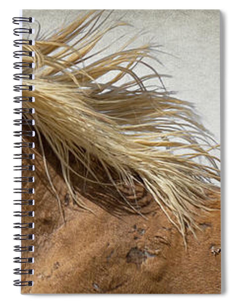 Wild Horses Spiral Notebook featuring the photograph Palomino Beauty by Mary Hone