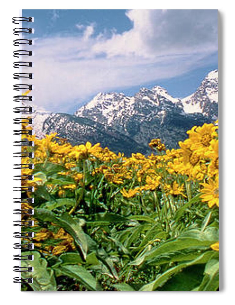 Dave Welling Spiral Notebook featuring the photograph Panoramic Balsamroot Below The Teton Range by Dave Welling