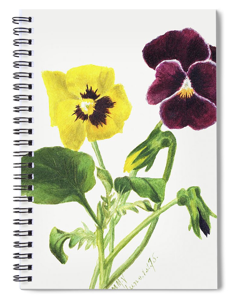 Pansies Spiral Notebook featuring the painting Pansies, by Mary Vaux Walcott. by World Art Collective