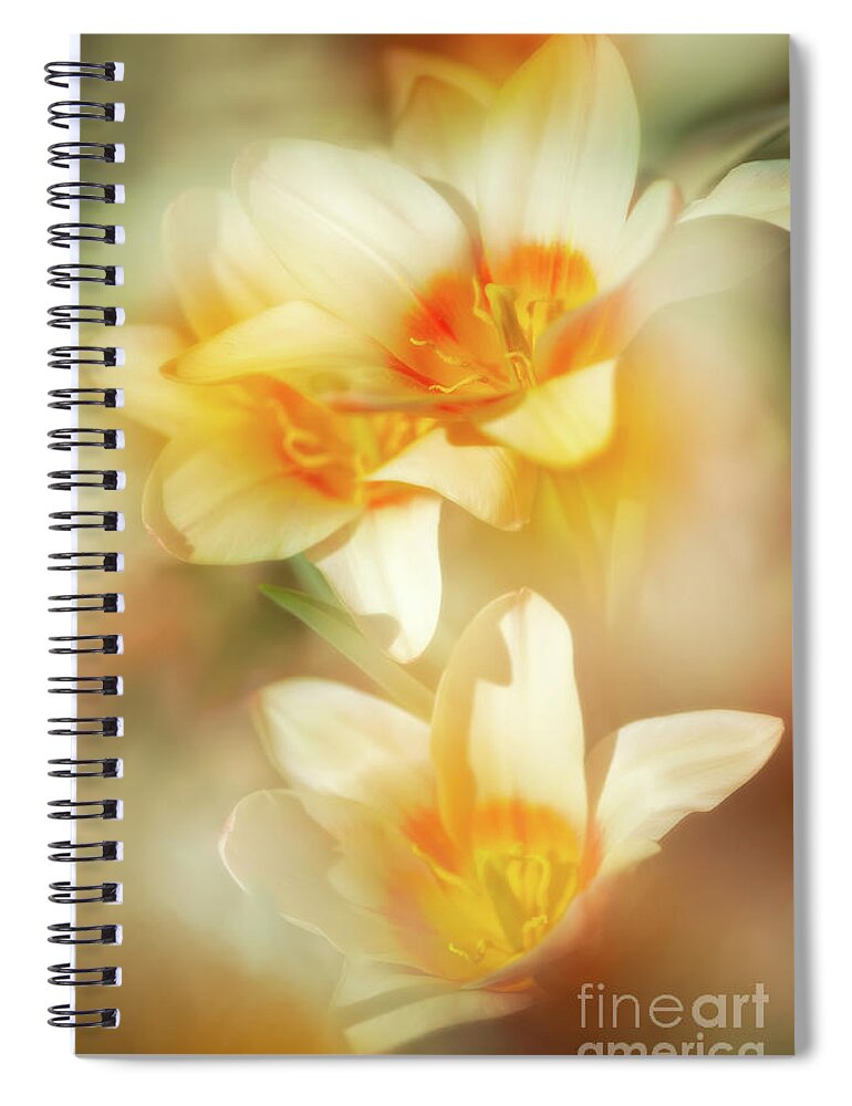 Liliaceae Family Spiral Notebook featuring the photograph Paradise Found by Venetta Archer