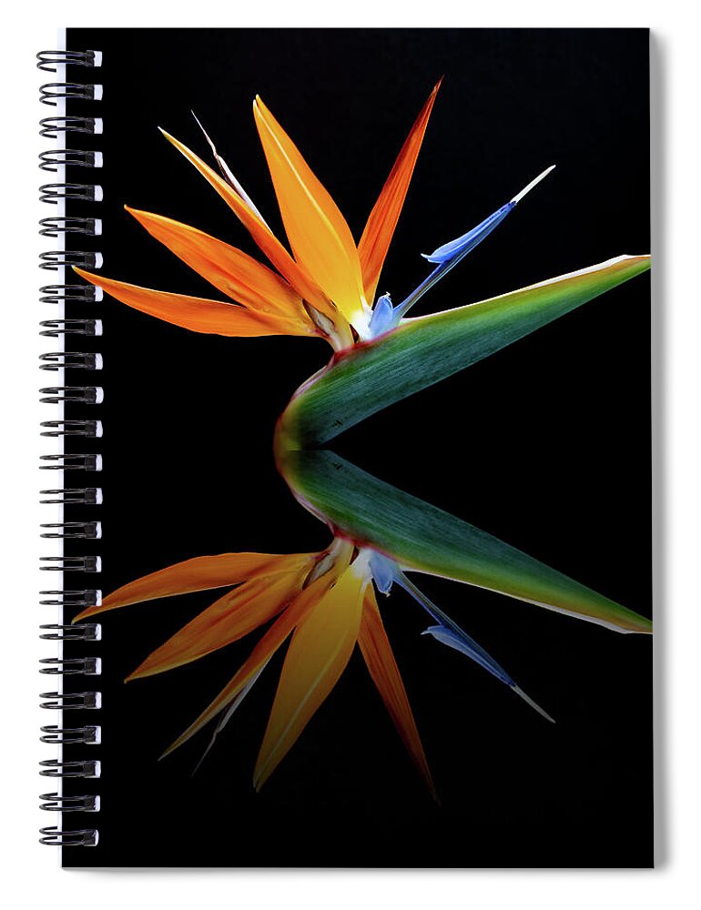 Flower Spiral Notebook featuring the photograph Paradise Reflection by Gina Fitzhugh