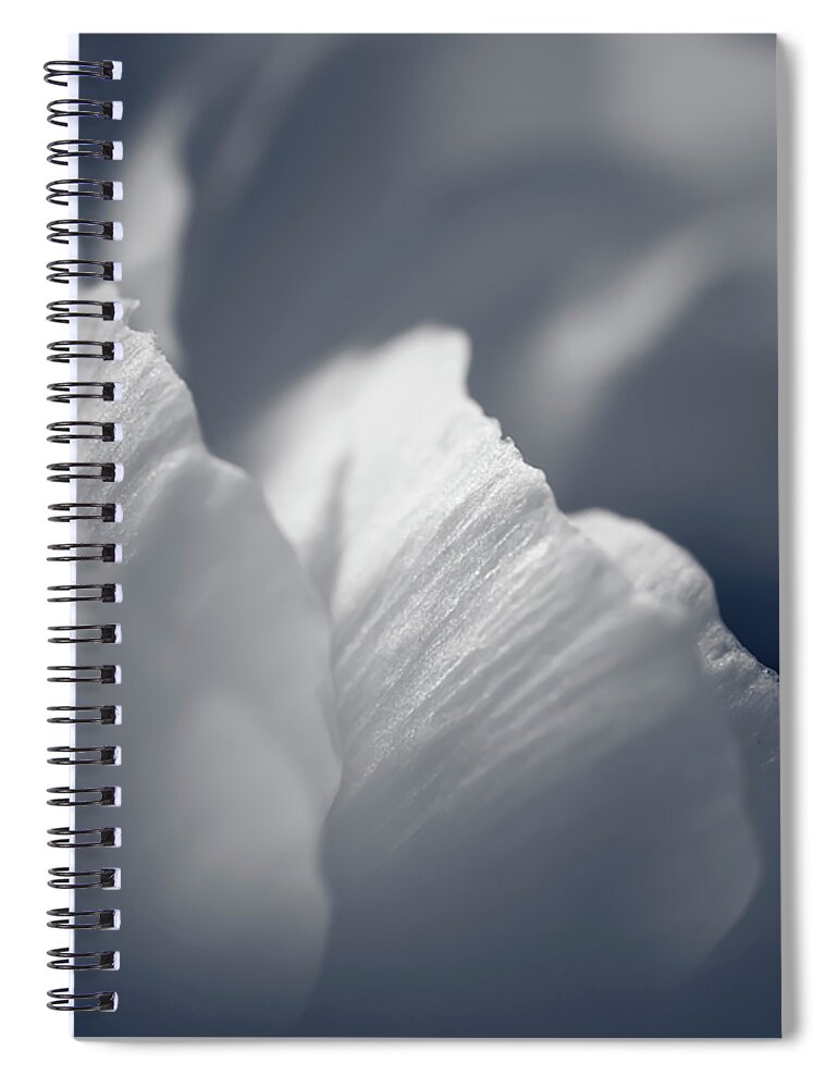 Affection Spiral Notebook featuring the photograph Parfumee by Christi Kraft