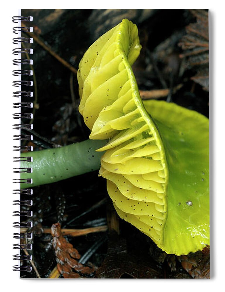 Fungi Spiral Notebook featuring the photograph Parrot Toadstool or Parrot Waxcap, Hygrocybe psittacina by Kevin Oke