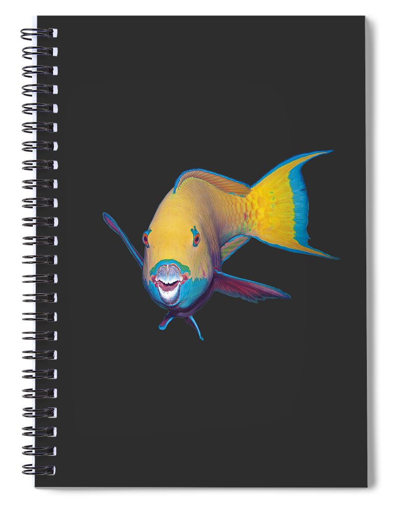 Heavybeak Parrotfish Spiral Notebook featuring the mixed media Parrotfish - Eye catching make up on dark background - by Ute Niemann