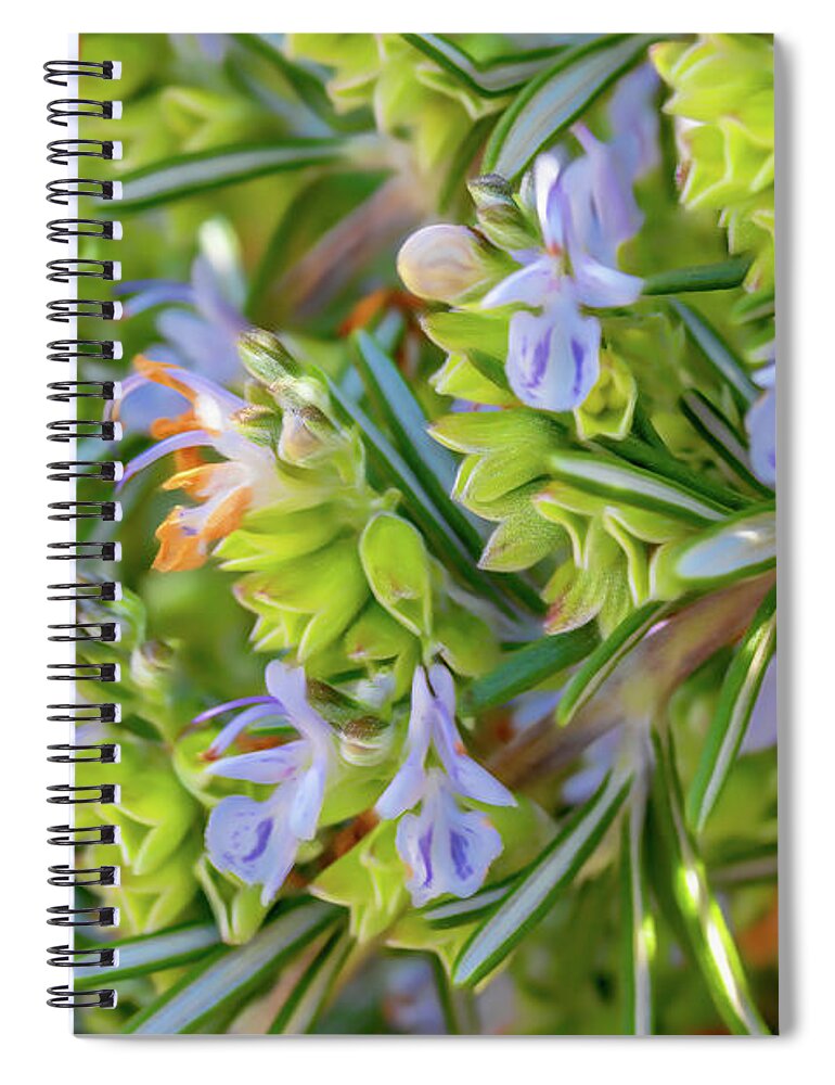 Flowers Spiral Notebook featuring the photograph Pastel Blue Flowers by Roslyn Wilkins