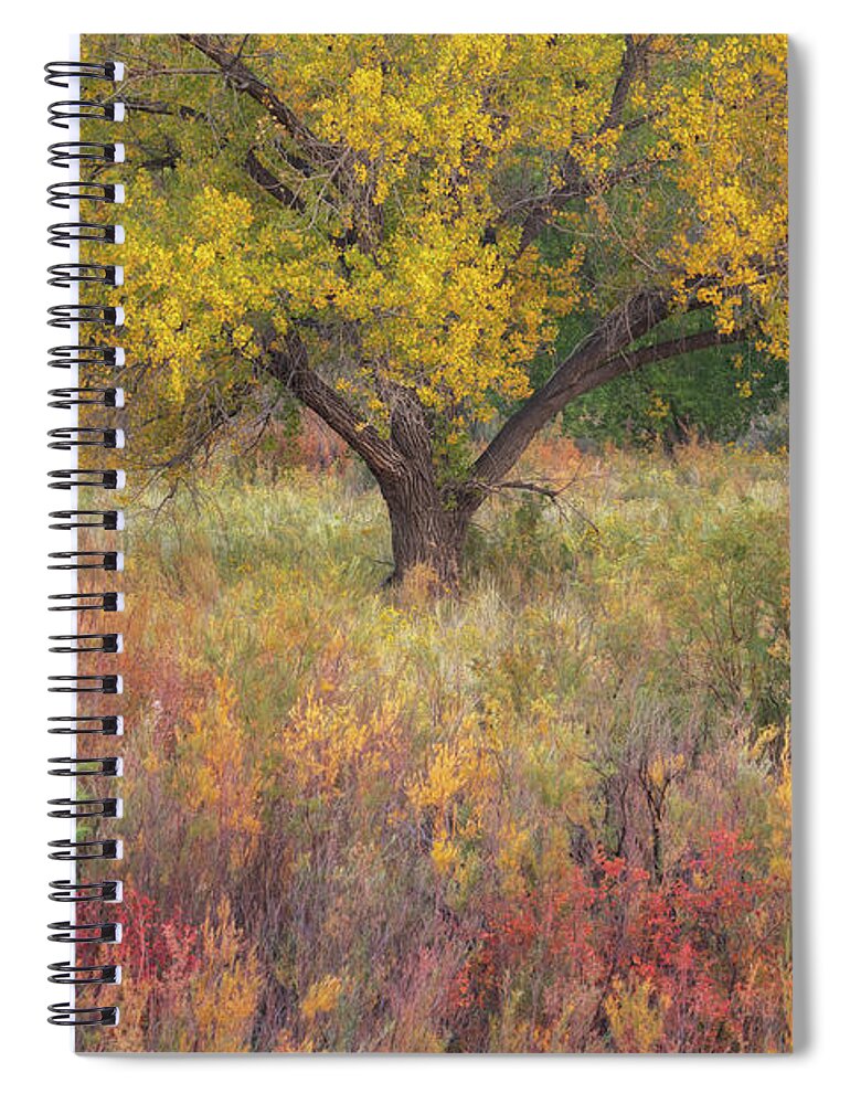  Spiral Notebook featuring the photograph Pastel Rainbow 3x2 by Dustin LeFevre