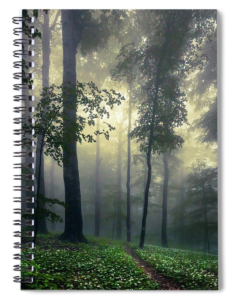 Balkan Mountains Spiral Notebook featuring the photograph Path In the Mist by Evgeni Dinev