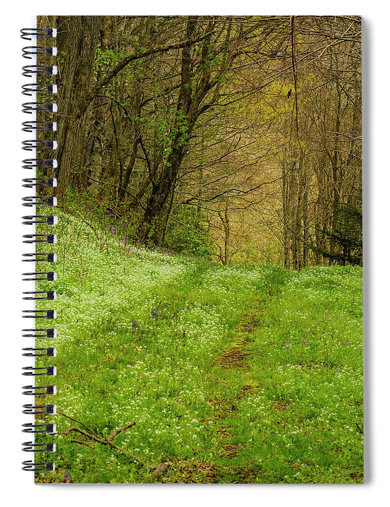 Blue Ridge Mountains Spiral Notebook featuring the photograph Path Less Traveled by Melissa Southern
