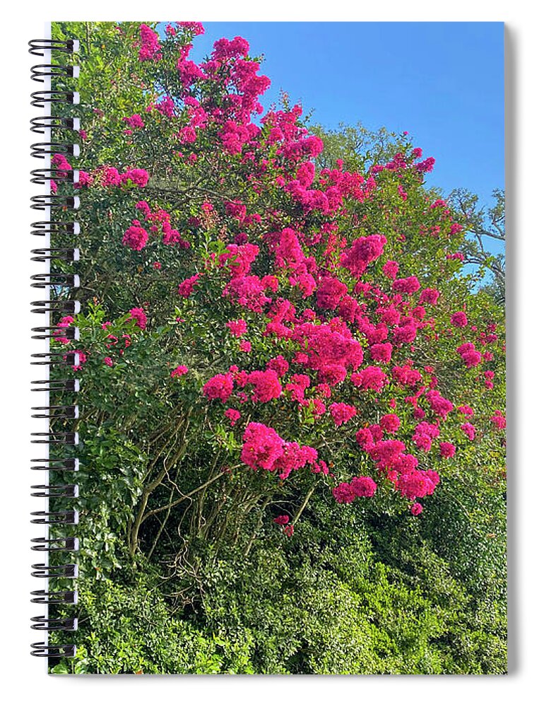 Nature Spiral Notebook featuring the photograph Path of Nature by Mary Anne Delgado