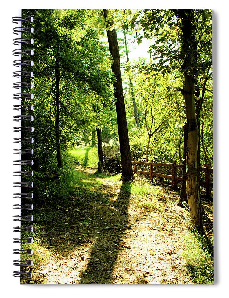Trees Spiral Notebook featuring the photograph Path out of Summer by Christopher Reed