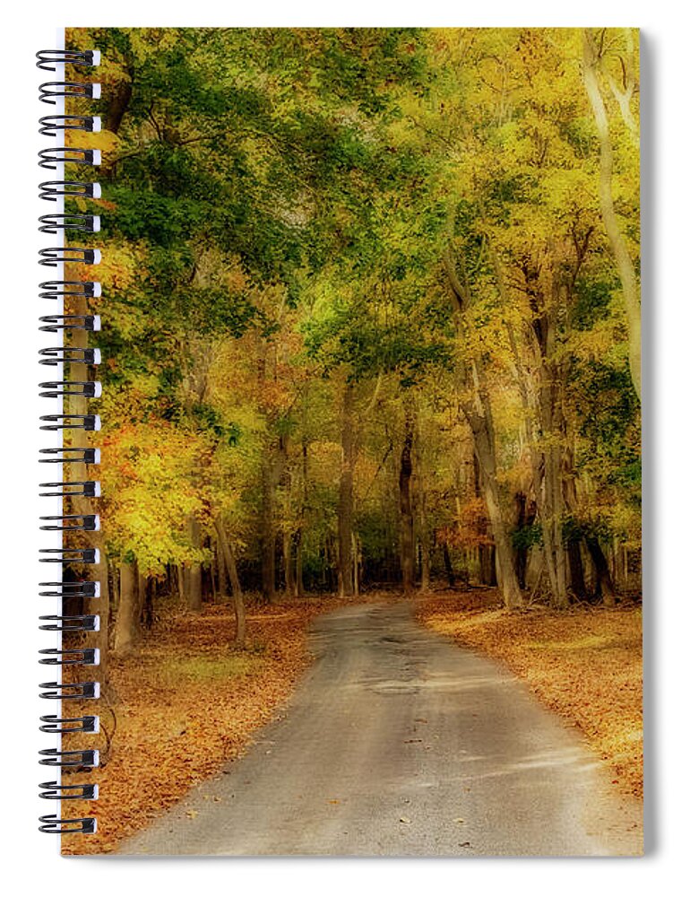 Autumn Spiral Notebook featuring the photograph Path To Autumn by Cathy Kovarik
