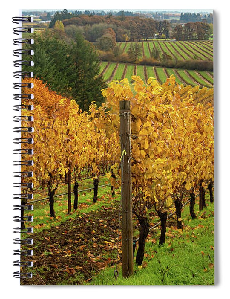 Vineyard Spiral Notebook featuring the photograph Patterns of Fall in the Vineyard by Leslie Struxness