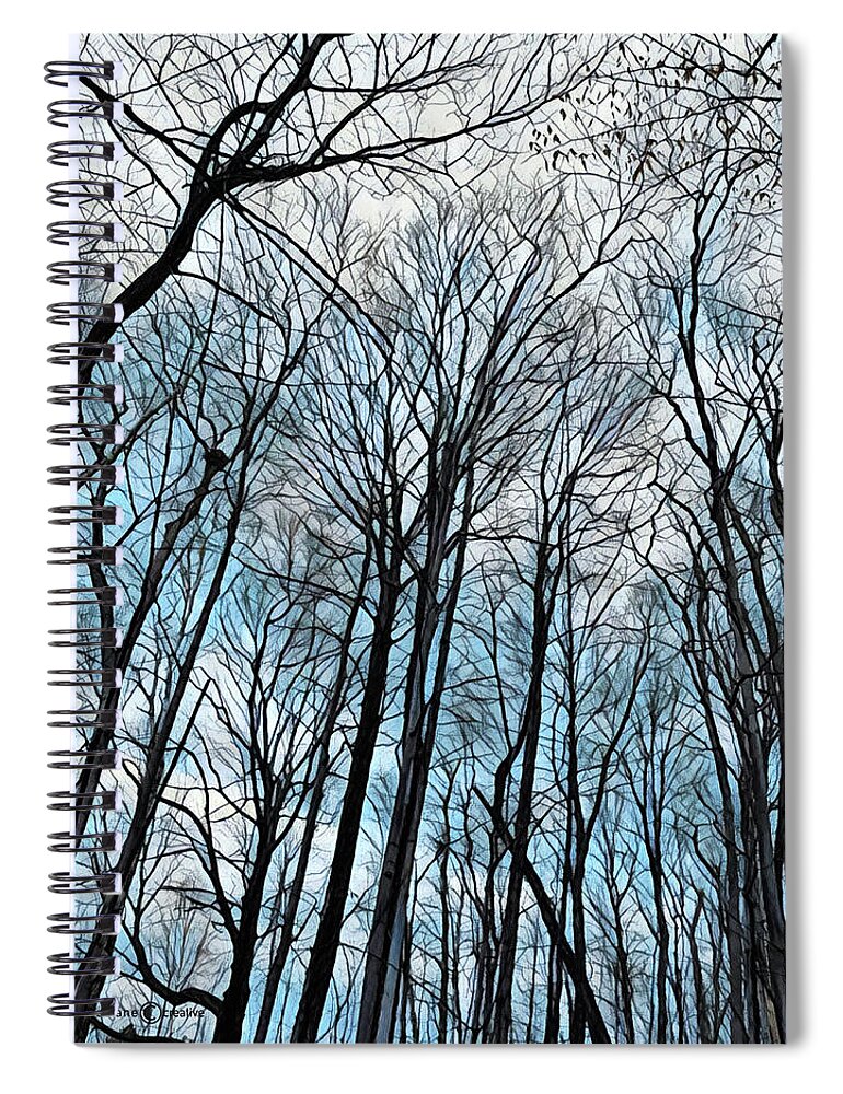 Trees Spiral Notebook featuring the photograph Pattys Path Tree Cover by Tim Nyberg