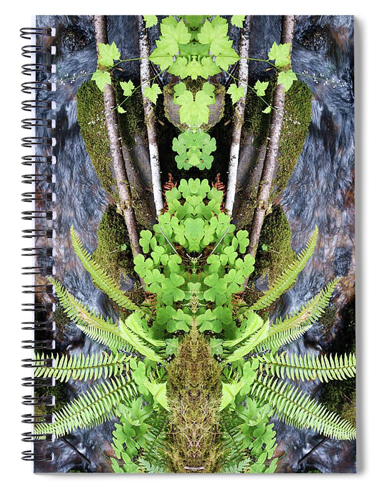 Nature Art Spiral Notebook featuring the photograph Peace at the Cosmic Creek of Life #3 by Ben Upham III