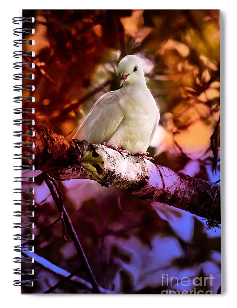 Dove Spiral Notebook featuring the photograph Peace on Earth by Ella Kaye Dickey