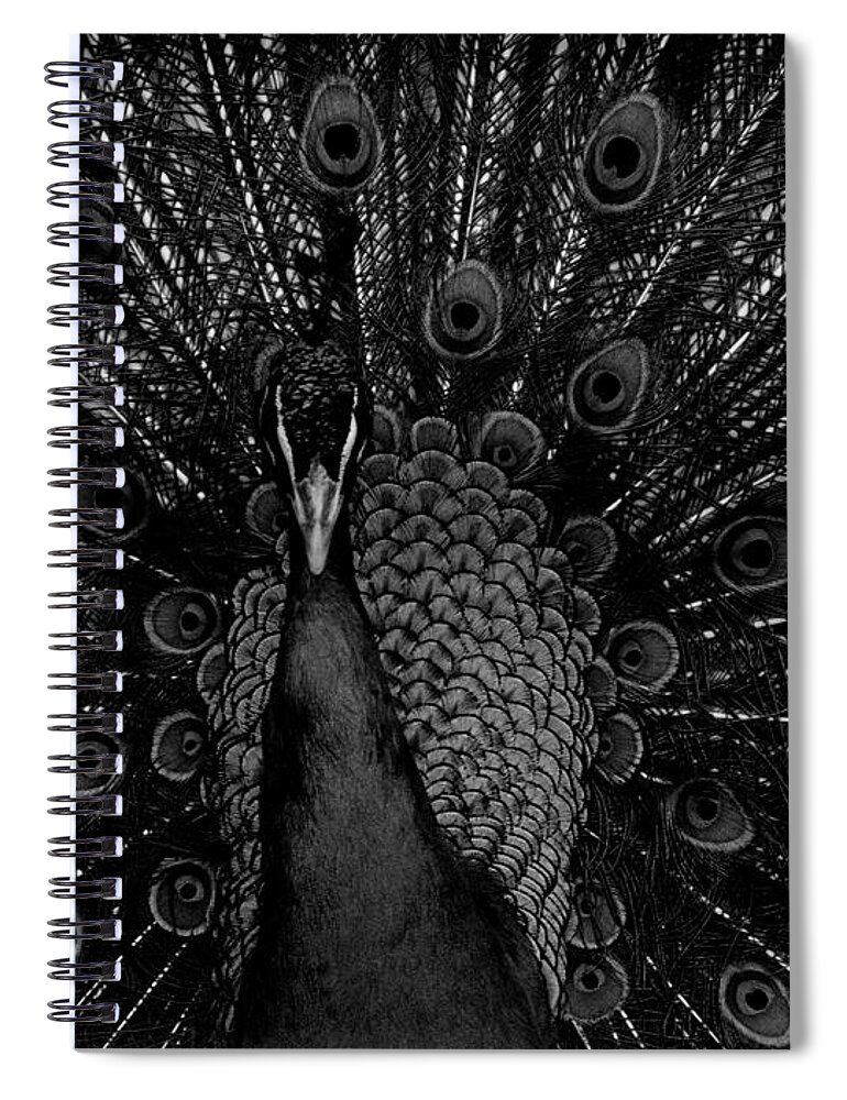 Abstract Spiral Notebook featuring the photograph Peacock by B Cash