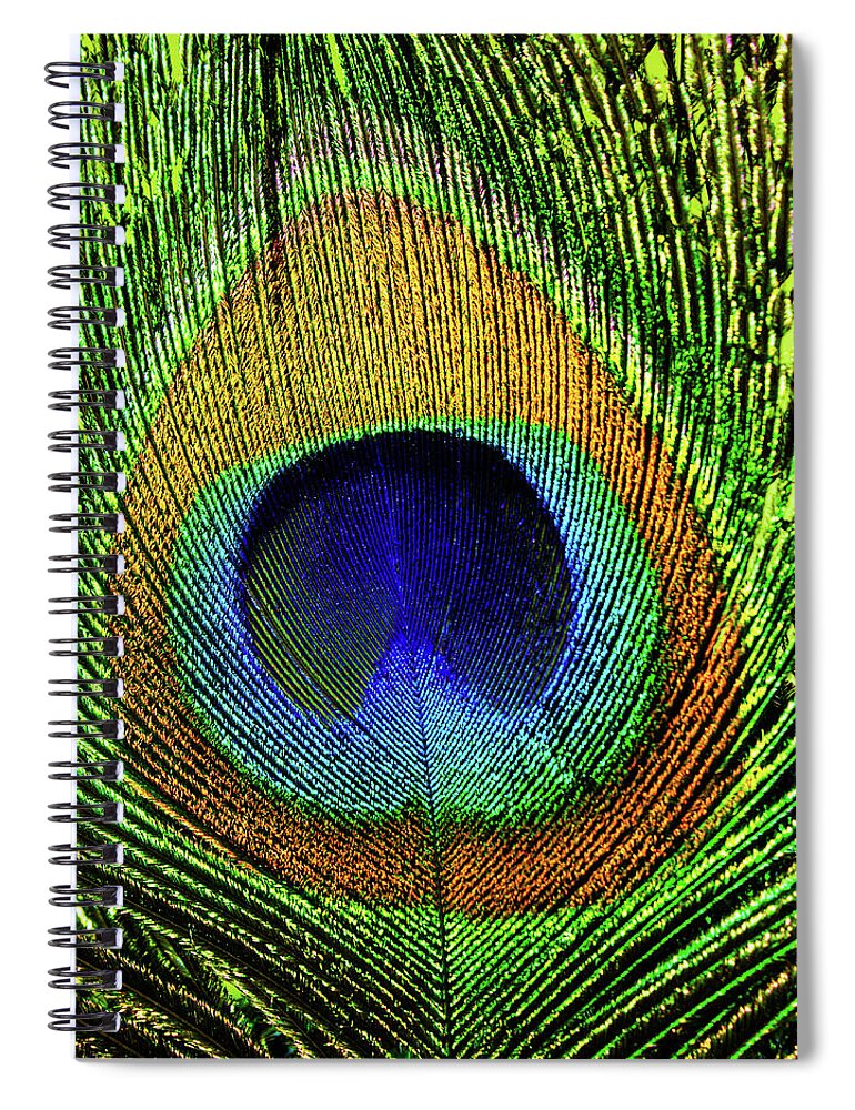 Peacock Spiral Notebook featuring the photograph Peacock Feather Eye in Close-up by Charles Floyd