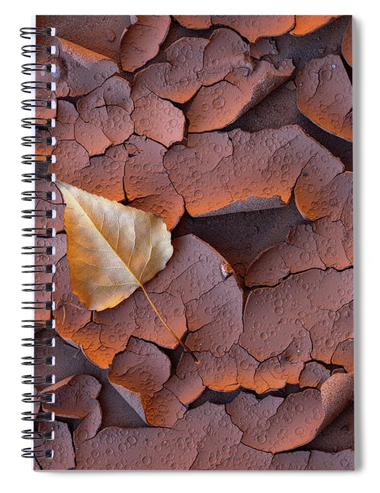 Mud Spiral Notebook featuring the photograph Peeling by Dustin LeFevre