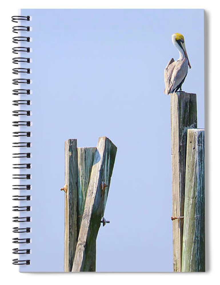 Pelican Spiral Notebook featuring the photograph Pelican Sitting on Pier Post 3135 by Jack Schultz