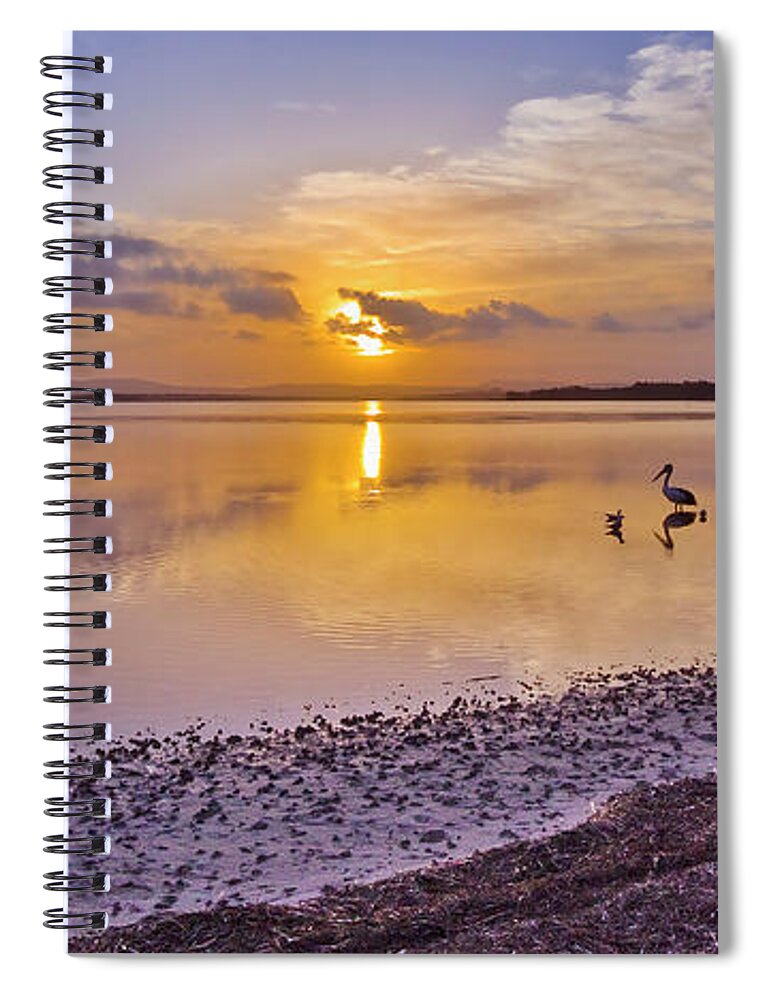 Australian Pelicans Spiral Notebook featuring the digital art Pelican sunset 9885 by Kevin Chippindall