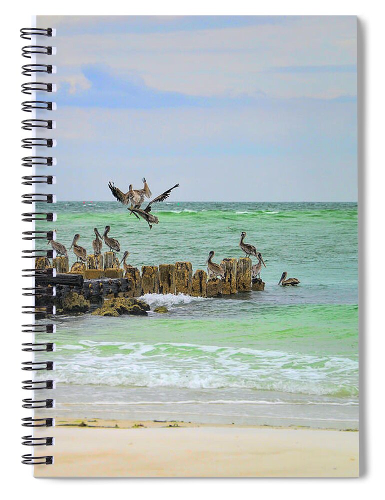 Pelicans Spiral Notebook featuring the photograph Pelicans in Florida by Alison Belsan Horton