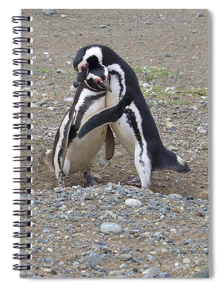 Penguins Spiral Notebook featuring the photograph Penguin Love by World Reflections By Sharon