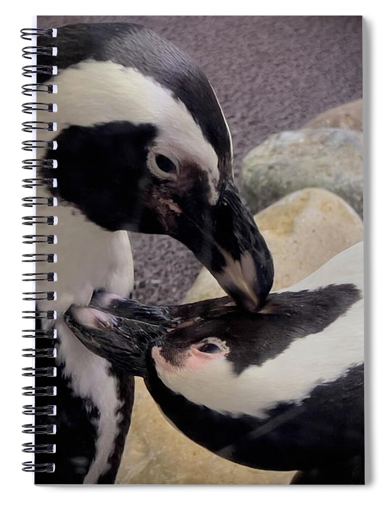 Penguins Spiral Notebook featuring the photograph Penguins by Meta Gatschenberger