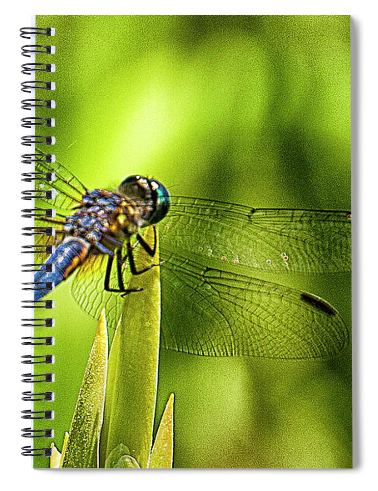 Dragonfly Spiral Notebook featuring the photograph Pensive Dragon by Bill Barber