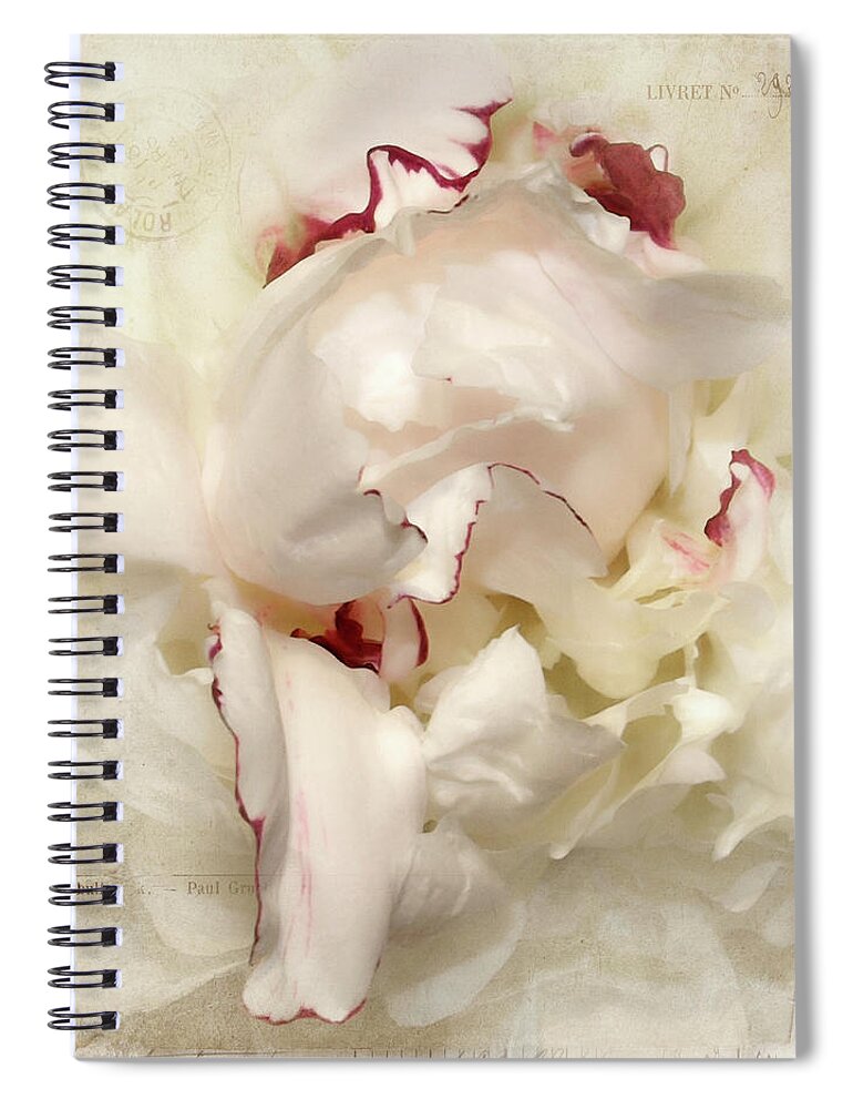 Flower Spiral Notebook featuring the photograph Peony - French Papers by Karen Lynch