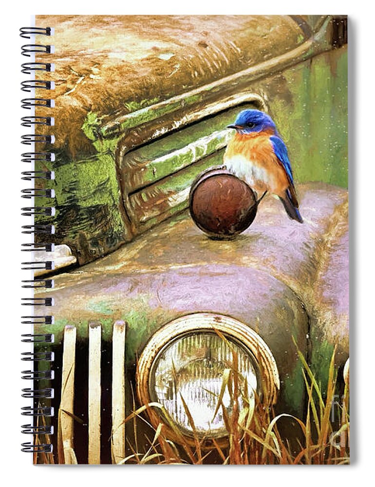  Ford Truck Spiral Notebook featuring the painting Perched On The Old Ford by Tina LeCour