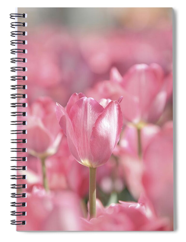 Nature Spiral Notebook featuring the photograph Perfectly Pink by Lens Art Photography By Larry Trager