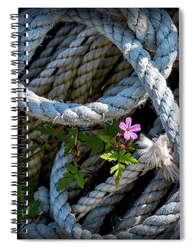 Maine Spiral Notebook featuring the photograph Perseverance by Phil Marty