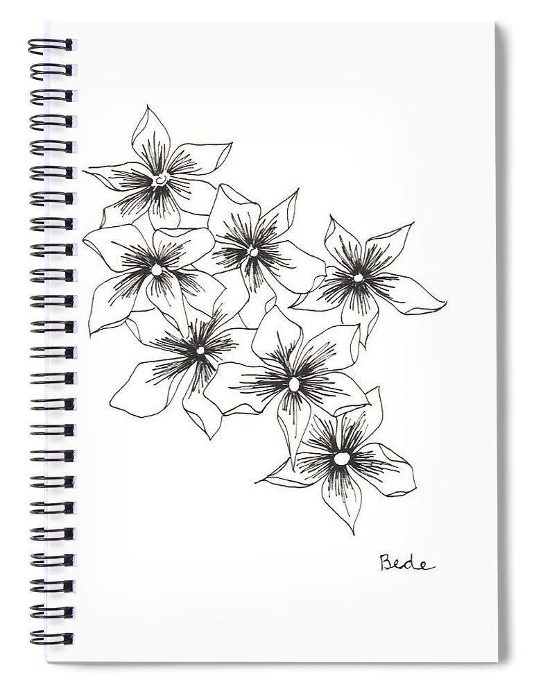 Ink Paper Drawing Illustration Black White Flowers Phlox Spiral Notebook featuring the drawing Phlox by Catherine Bede