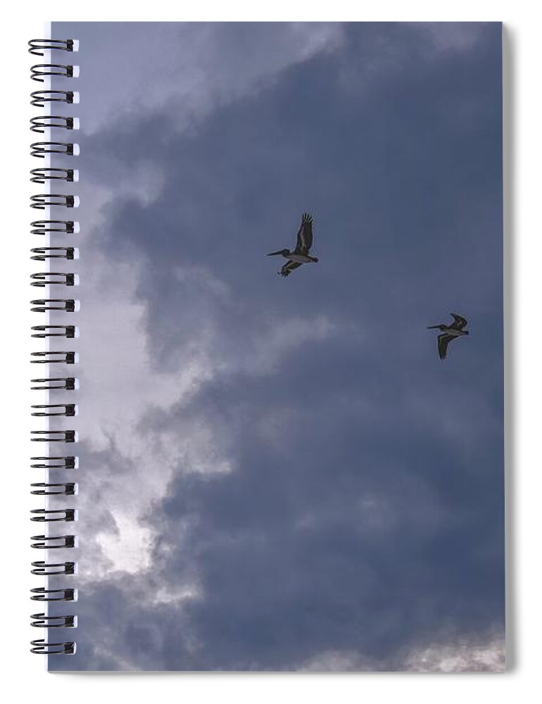 Pelican Spiral Notebook featuring the photograph Photo 81 Pelicans by Lucie Dumas