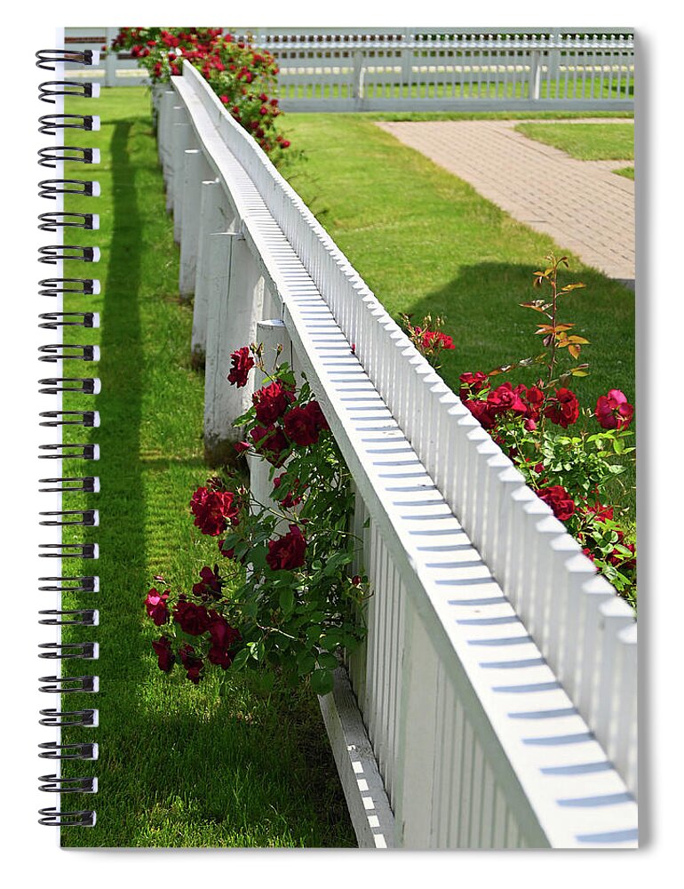  Spiral Notebook featuring the photograph Picket Fence Roses by Rein Nomm