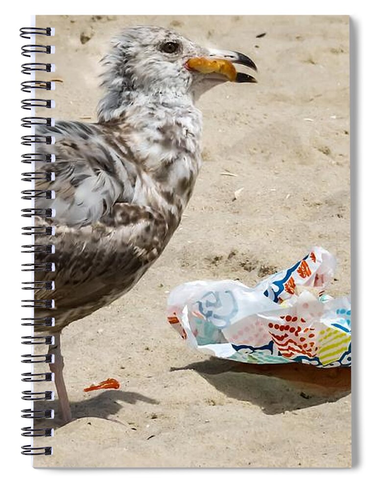 Birds Spiral Notebook featuring the photograph Picnic on the Beach by Linda Stern