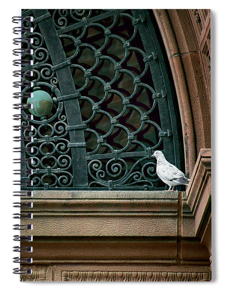 Omaha Spiral Notebook featuring the photograph Pigeon - The Omaha Building by Nikolyn McDonald