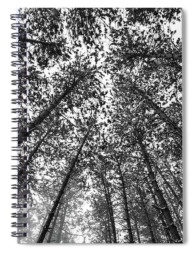 Black And White Spiral Notebook featuring the photograph Pine Tree Forest Closing In by Crystal Wightman