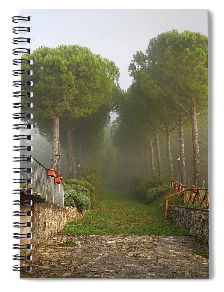 Jenny Rainbow.evgeniya Vlasova Garden Photography Spiral Notebook featuring the photograph Pine Trees Alley in Fog at Tuscany Rural Villa 1 by Jenny Rainbow