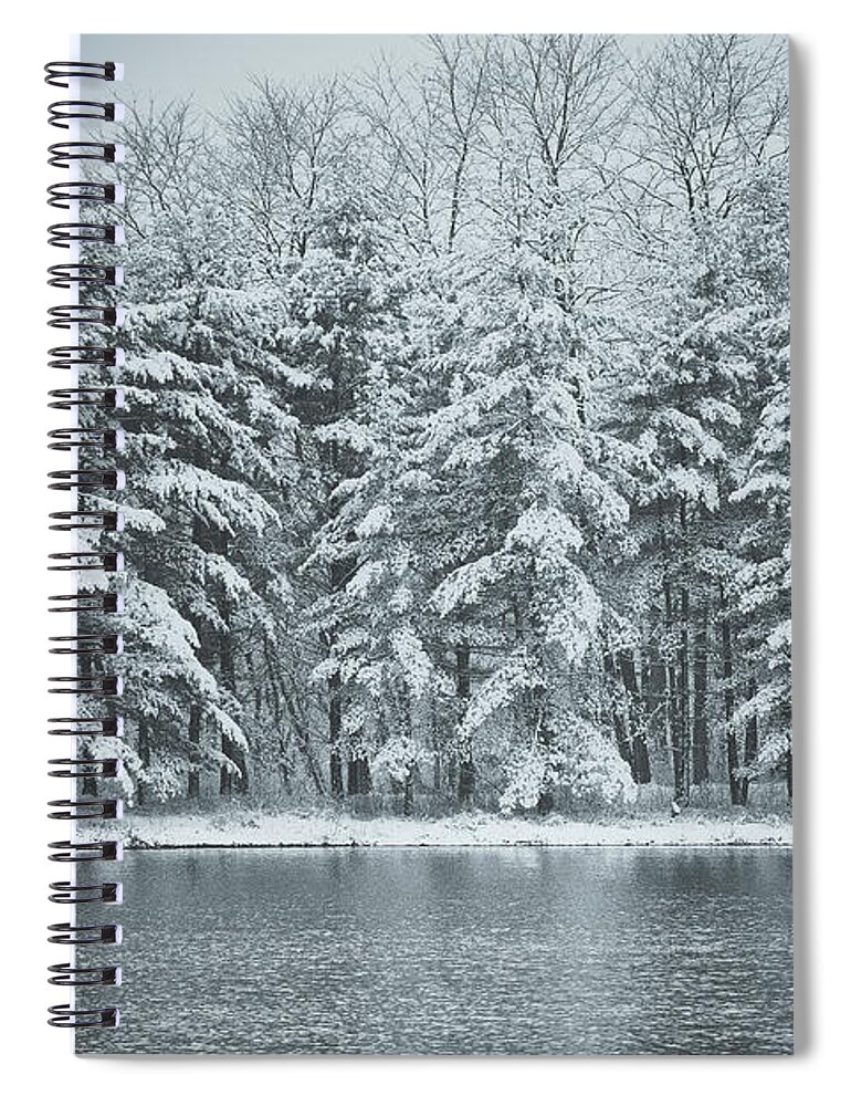 Blackwell Forest Preserve Spiral Notebook featuring the photograph Pines in Winter by Joni Eskridge