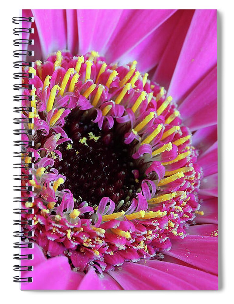 Flowers Spiral Notebook featuring the digital art Pink 59 by Kevin Chippindall