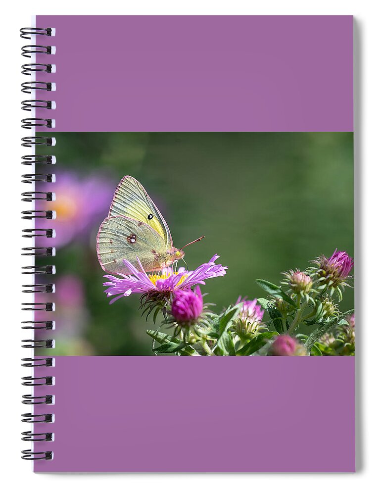 Flower Spiral Notebook featuring the photograph Pink Details by Linda Bonaccorsi