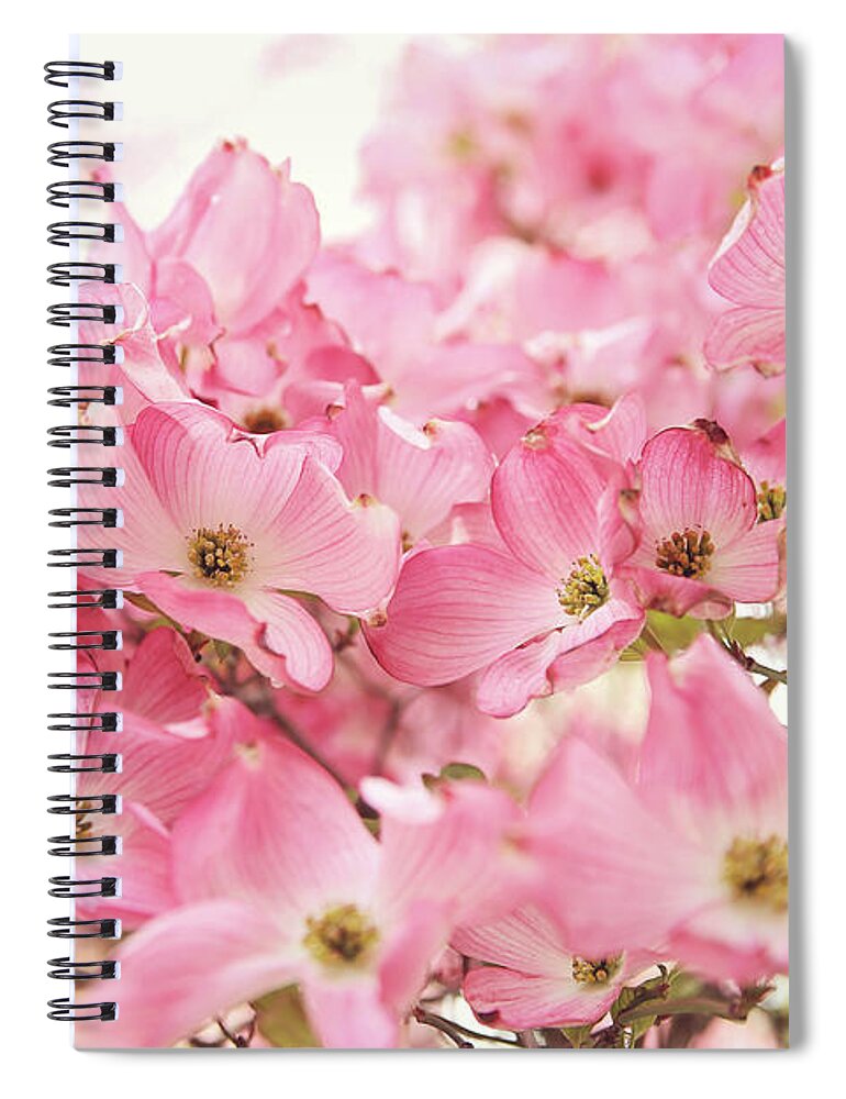 Dogwood Spiral Notebook featuring the photograph Pink Dogwood Flowers by Sylvia Cook