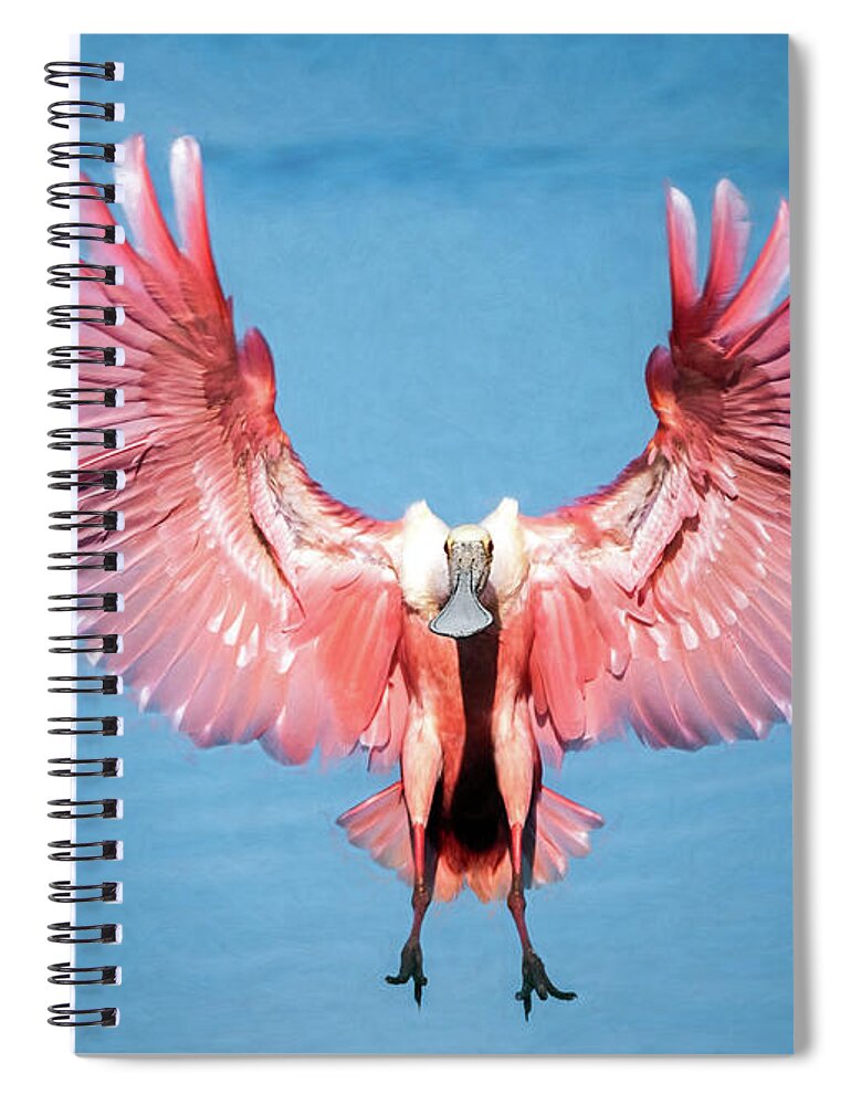 Roseate Spoonbill Spiral Notebook featuring the photograph Pink Flamboyance by Jaki Miller