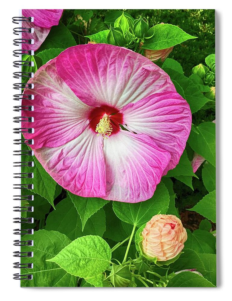 Pink Flower Spiral Notebook featuring the photograph Pink Flower and Bud by Mary Bedy