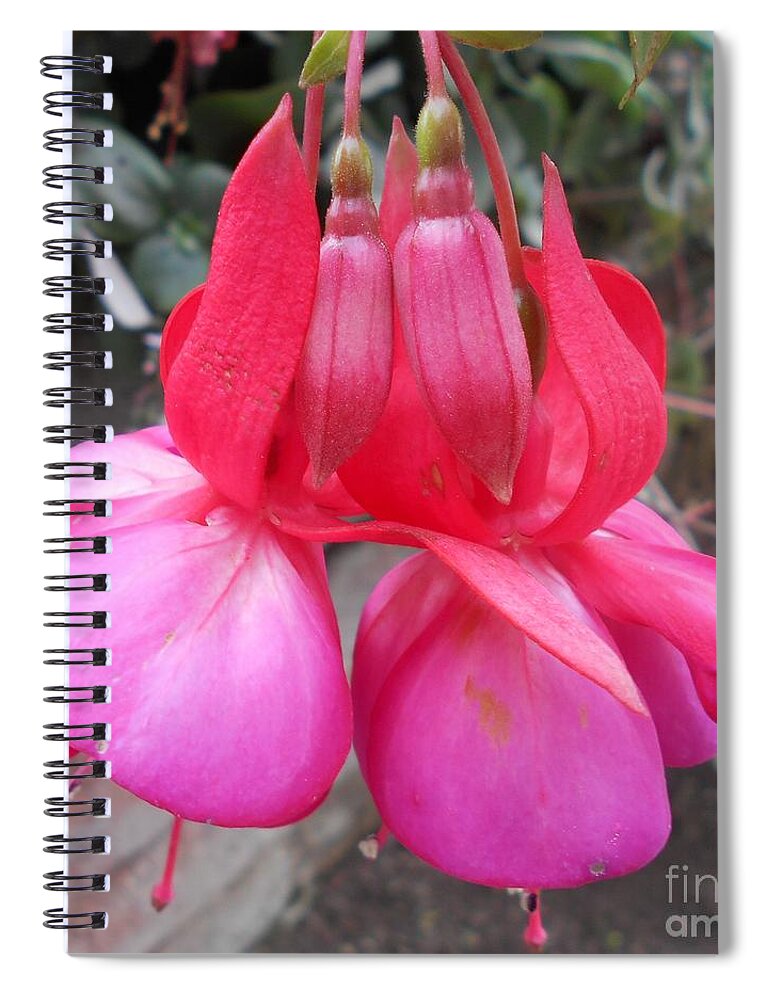 Pink Spiral Notebook featuring the mixed media Pink flower by Nancy Graham
